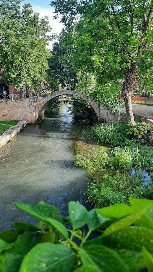Aromas Del Jiloca Διαμέρισμα Calamocha Εξωτερικό φωτογραφία